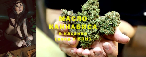 соль ск Няндома