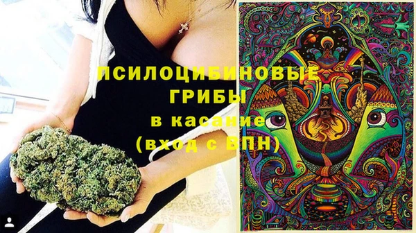 ПСИЛОЦИБИНОВЫЕ ГРИБЫ Богородск