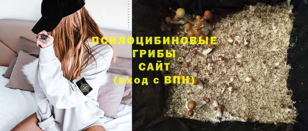 не бодяженный Богородицк